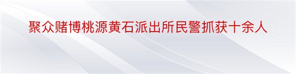 聚众赌博桃源黄石派出所民警抓获十余人