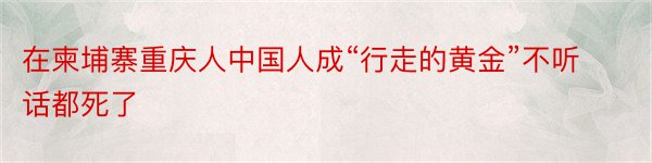 在柬埔寨重庆人中国人成“行走的黄金”不听话都死了