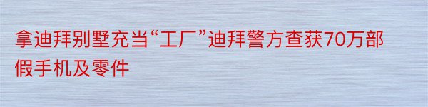 拿迪拜别墅充当“工厂”迪拜警方查获70万部假手机及零件