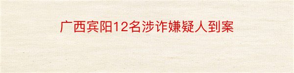 广西宾阳12名涉诈嫌疑人到案