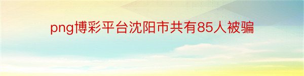 png博彩平台沈阳市共有85人被骗