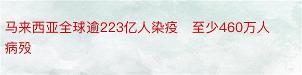 马来西亚全球逾223亿人染疫　至少460万人病殁